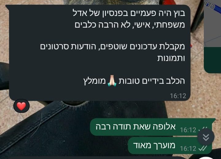 WhatsApp Image 2025-08-17 at 11.48.30